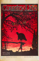 Country Life Magazine Nov 1922 Print  // 2026 Edition